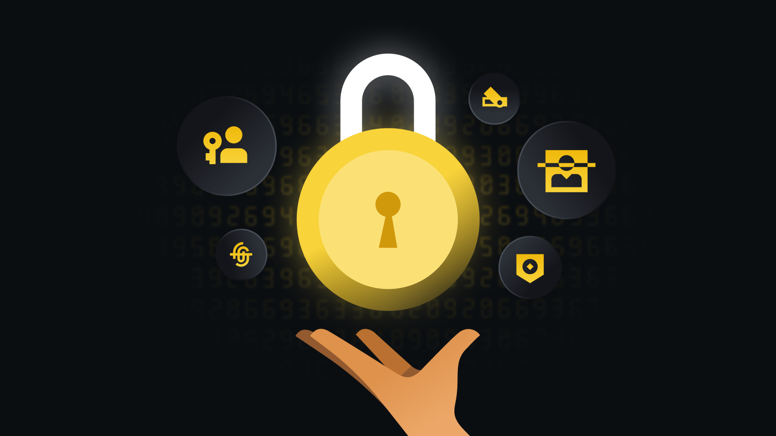 数字资产管理专家